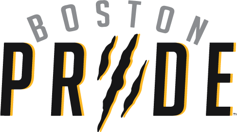 Boston Pride 2015-Pres Primary Logo iron on transfers for T-shirts
